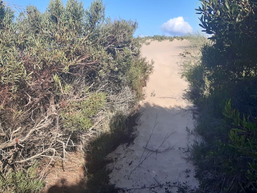 0 Bedroom Property for Sale in Paradise Beach Eastern Cape